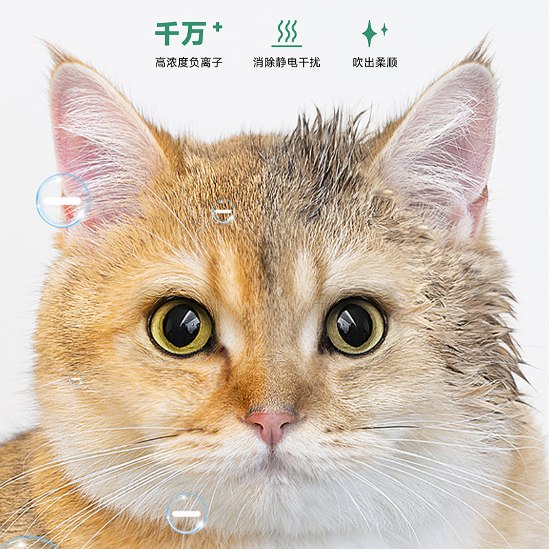 图层6.png