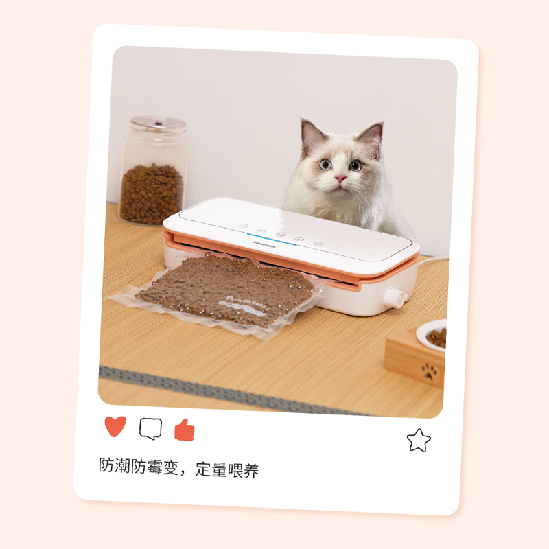 图层12.png